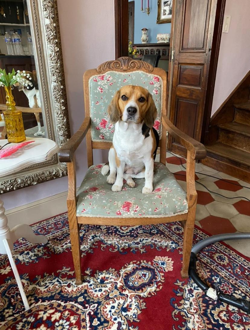 Fleur D'Iris Bed & Breakfast Perpezac-le-Blanc Dış mekan fotoğraf